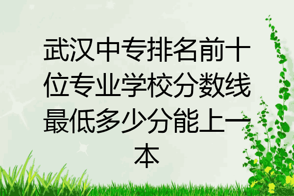 武汉中专排名前十位专业学校分数线最低多少分能上一本