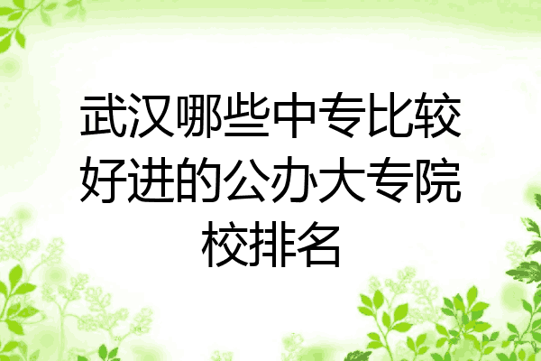 武汉哪些中专比较好进的公办大专院校排名