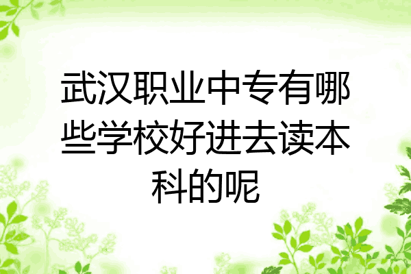 武汉职业中专有哪些学校好进去读本科的呢
