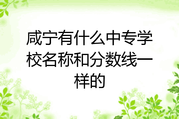 咸宁有什么中专学校名称和分数线一样的