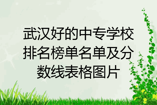 武汉好的中专学校排名榜单名单及分数线表格图片