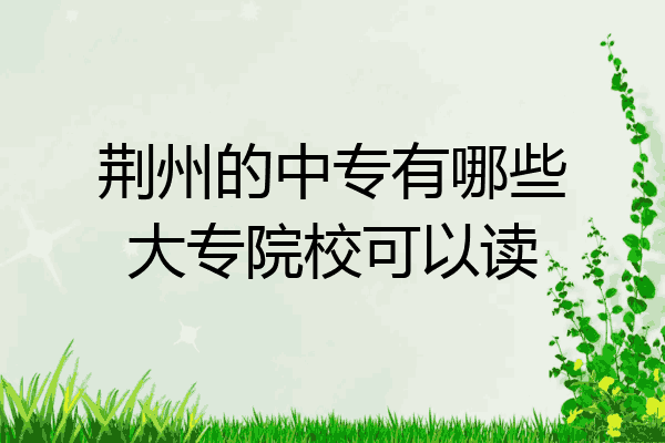 荆州的中专有哪些大专院校可以读