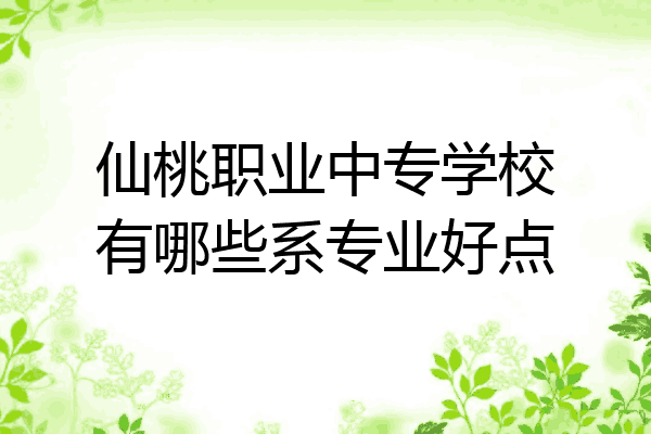 仙桃职业中专学校有哪些系专业好点