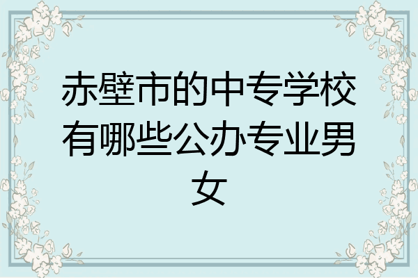 赤壁市的中专学校有哪些公办专业男女
