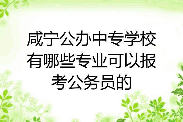 咸宁公办中专学校有哪些专业可以报考公务员的
