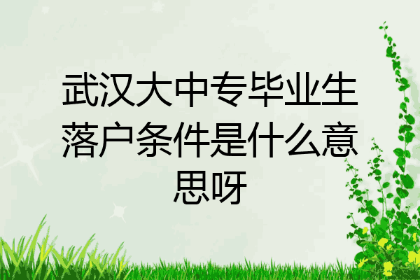 武汉大中专毕业生落户条件是什么意思呀