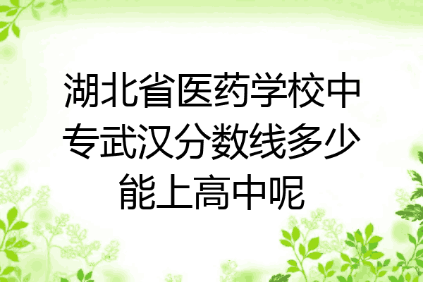 湖北省医药学校中专武汉分数线多少能上高中呢