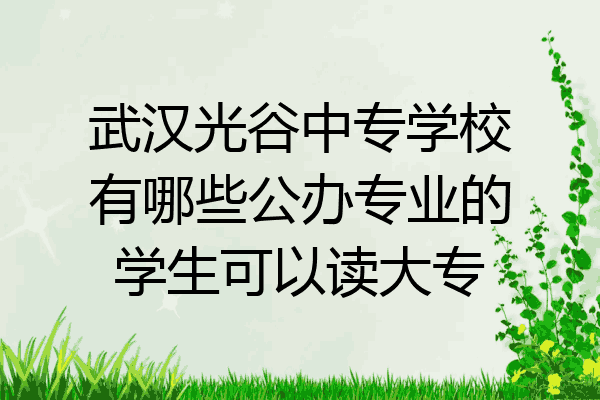 武汉光谷中专学校有哪些公办专业的学生可以读大专