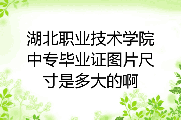 湖北职业技术学院中专毕业证图片尺寸是多大的啊