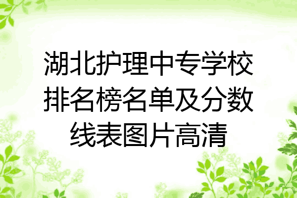 湖北护理中专学校排名榜名单及分数线表图片高清