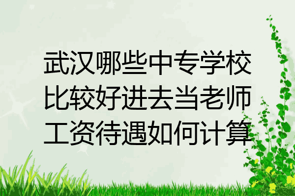 武汉哪些中专学校比较好进去当老师工资待遇如何计算