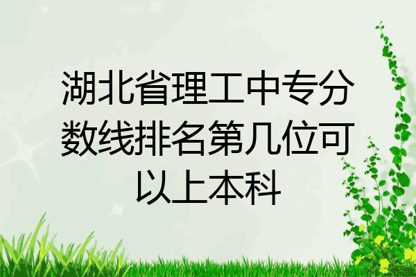 湖北省理工中专分数线排名第几位可以上本科