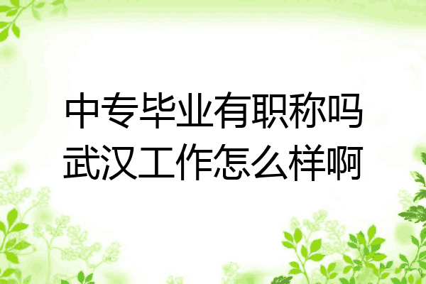 中专毕业有职称吗武汉工作怎么样啊