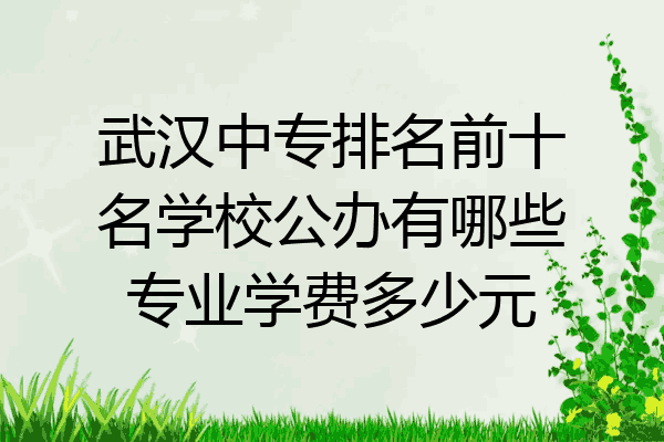 武汉中专排名前十名学校公办有哪些专业学费多少元