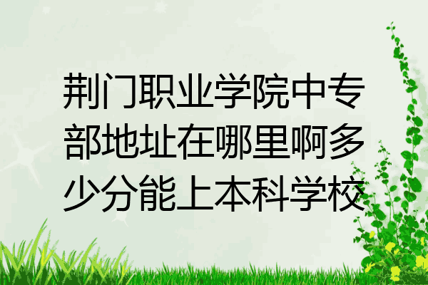 荆门职业学院中专部地址在哪里啊多少分能上本科学校