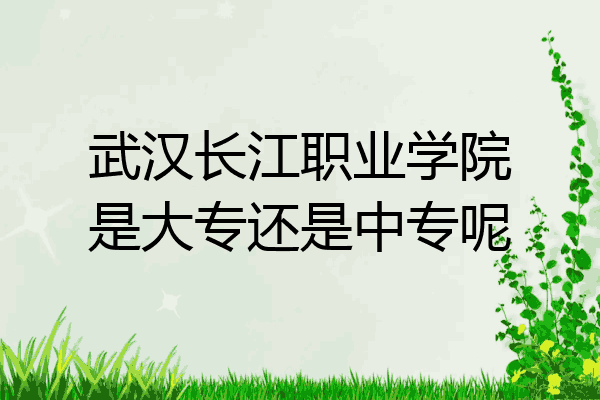 武汉长江职业学院是大专还是中专呢