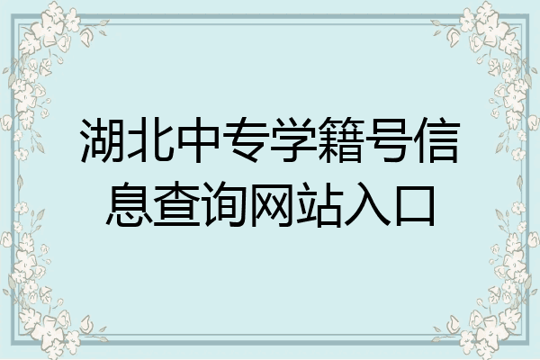 湖北中专学籍号信息查询网站入口