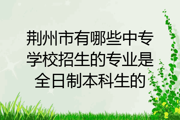 荆州市有哪些中专学校招生的专业是全日制本科生的