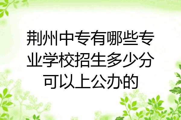 荆州中专有哪些专业学校招生多少分可以上公办的