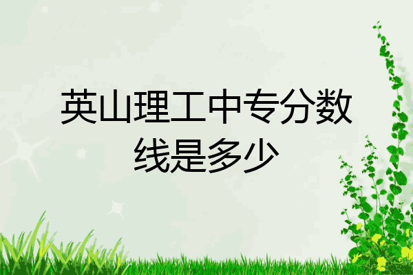 英山理工中专分数线是多少