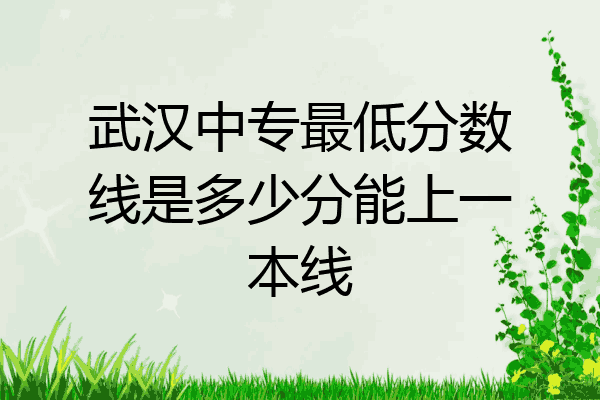 武汉中专最低分数线是多少分能上一本线