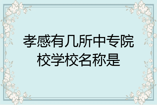 孝感有几所中专院校学校名称是