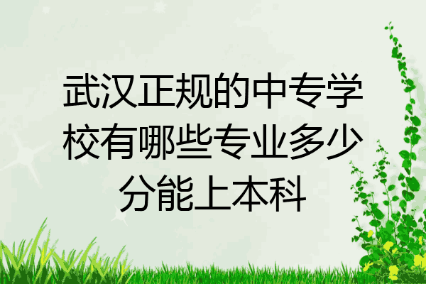 武汉正规的中专学校有哪些专业多少分能上本科
