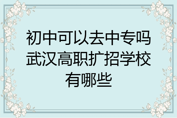 初中可以去中专吗武汉高职扩招学校有哪些