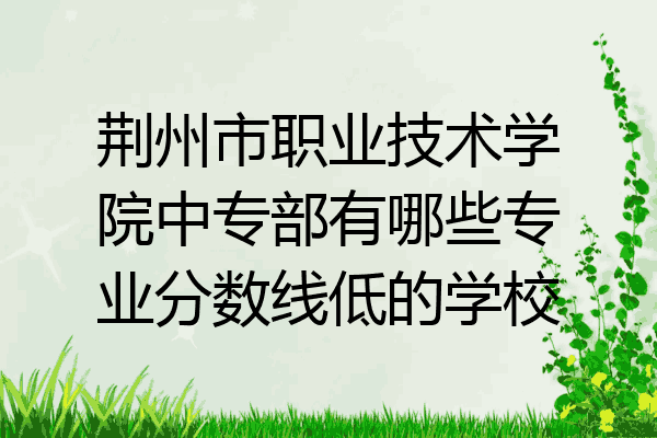 荆州市职业技术学院中专部有哪些专业分数线低的学校