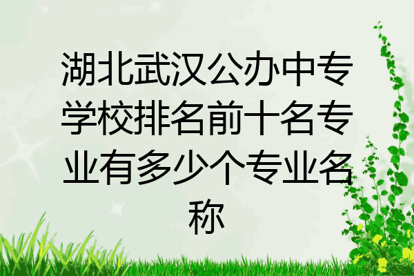 湖北武汉公办中专学校排名前十名专业有多少个专业名称