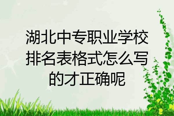 湖北中专职业学校排名表格式怎么写的才正确呢