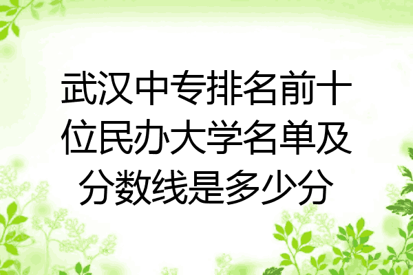 武汉中专排名前十位民办大学名单及分数线是多少分