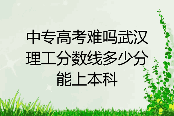 中专高考难吗武汉理工分数线多少分能上本科