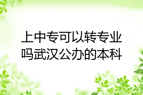 上中专可以转专业吗武汉公办的本科