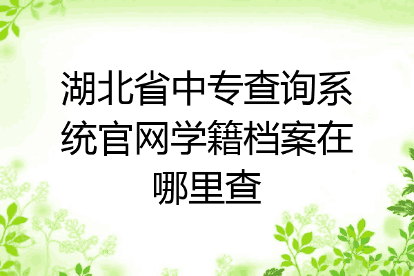 湖北省中专查询系统官网学籍档案在哪里查