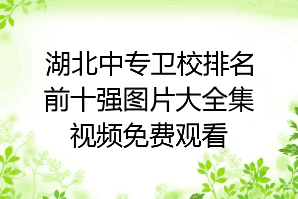 湖北中专卫校排名前十强图片大全集视频免费观看