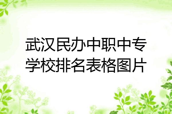 武汉民办中职中专学校排名表格图片