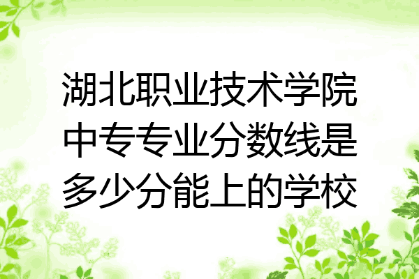 湖北职业技术学院中专专业分数线是多少分能上的学校