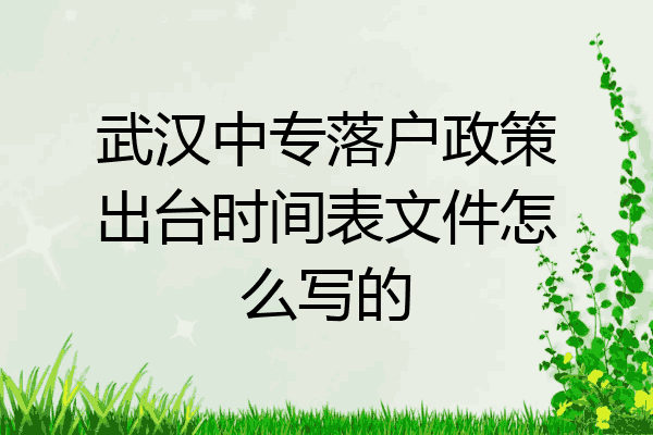 武汉中专落户政策出台时间表文件怎么写的