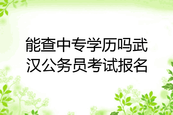 能查中专学历吗武汉公务员考试报名