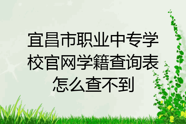 宜昌市职业中专学校官网学籍查询表怎么查不到