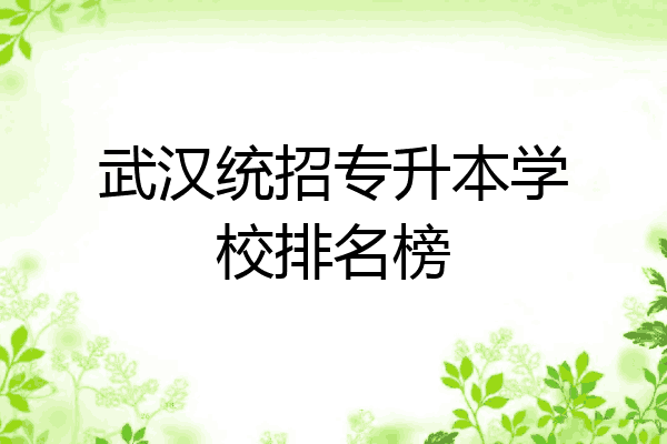 武汉统招专升本学校排名榜