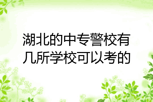 湖北的中专警校有几所学校可以考的