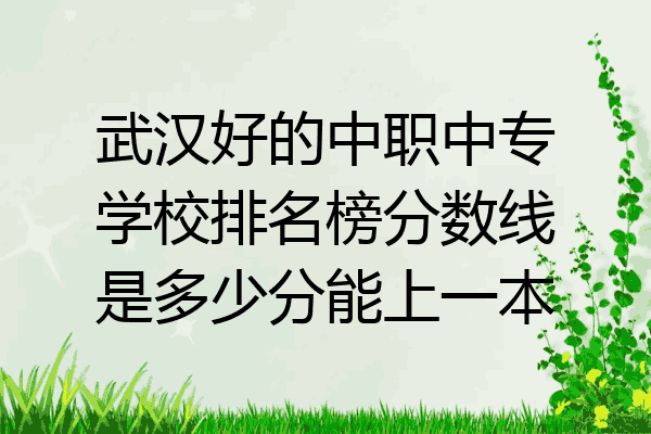 武汉好的中职中专学校排名榜分数线是多少分能上一本
