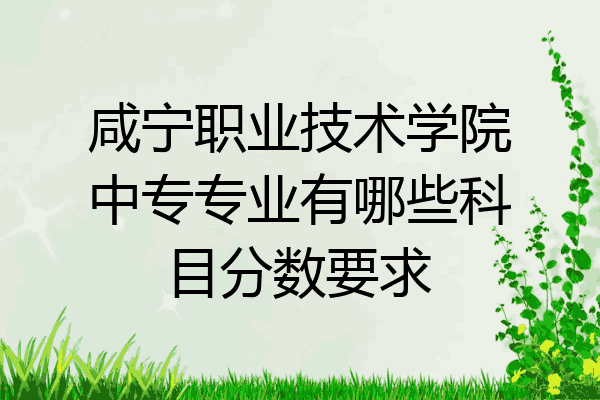 咸宁职业技术学院中专专业有哪些科目分数要求