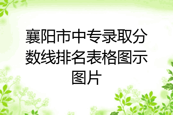 襄阳市中专录取分数线排名表格图示图片