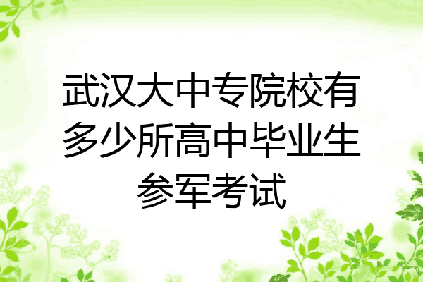 武汉大中专院校有多少所高中毕业生参军考试
