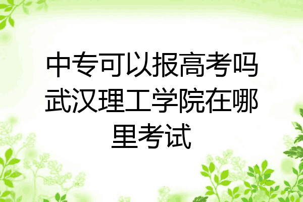 中专可以报高考吗武汉理工学院在哪里考试