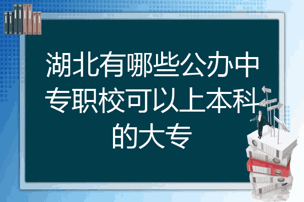 湖北有哪些公办中专职校可以上本科的大专