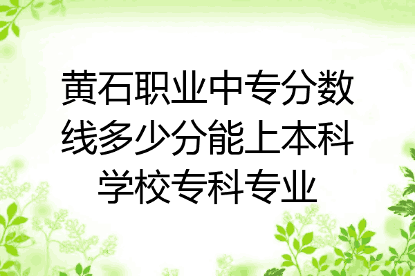 黄石职业中专分数线多少分能上本科学校专科专业